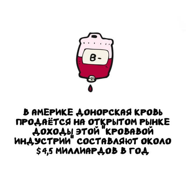 Интересные факты на все случаи жизни