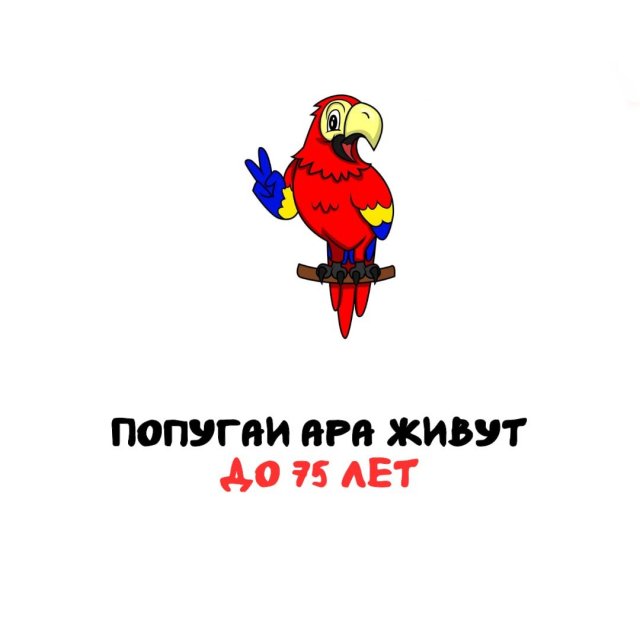 Интересные факты на все случаи жизни