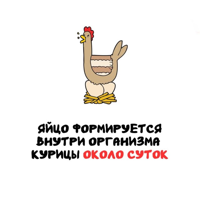 Интересные факты на все случаи жизни