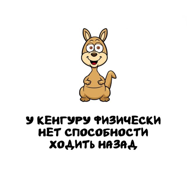 Интересные факты на все случаи жизни