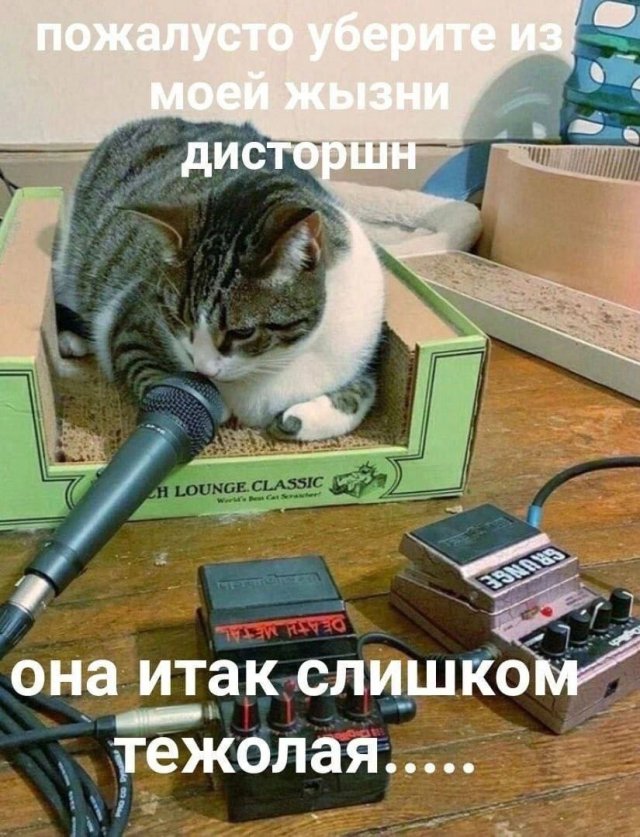 Смешные картинки - 25.07.2025