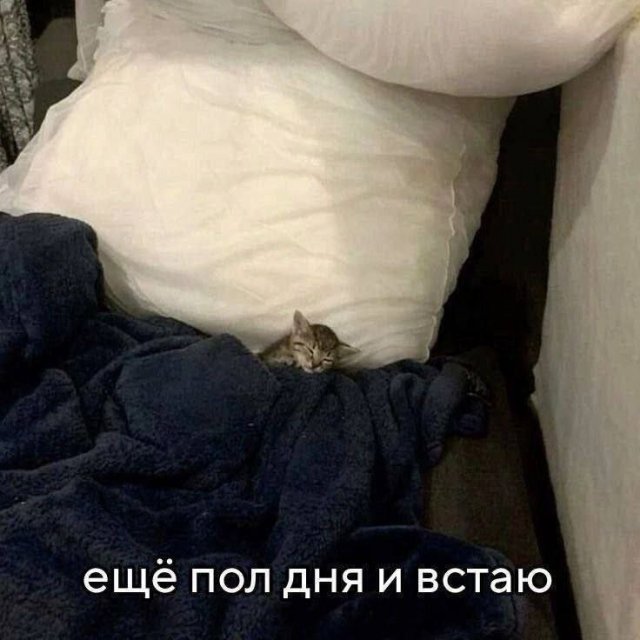 Смешные мемы - 28.07.2025