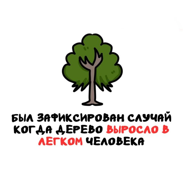 Интересные факты на все случаи жизни