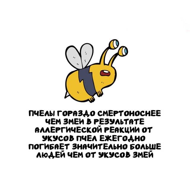 Интересные факты на все случаи жизни