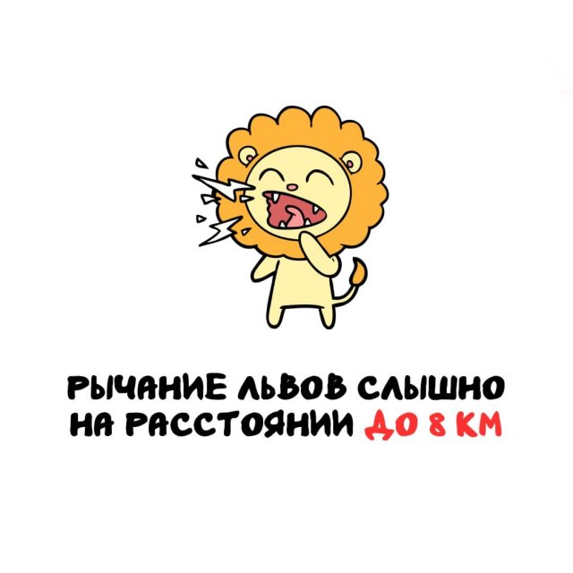 Интересные факты на все случаи жизни