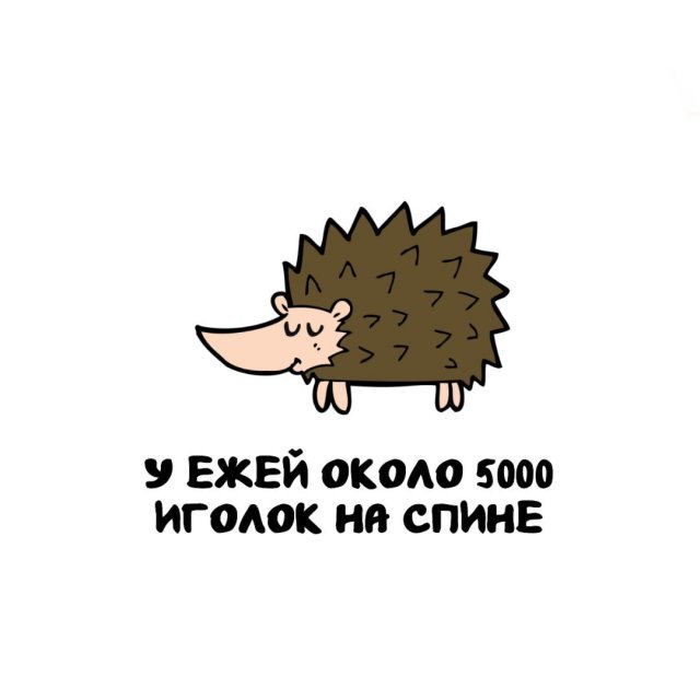 Интересные факты на все случаи жизни
