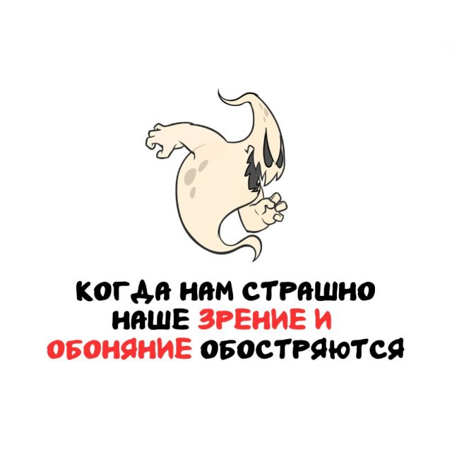 Интересные факты на все случаи жизни