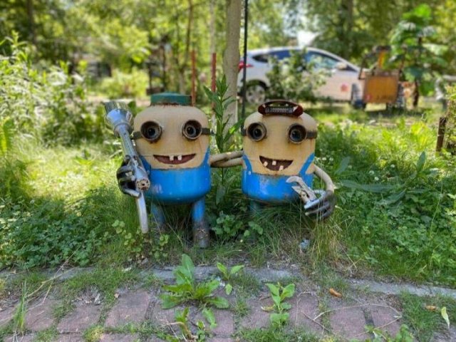 Подборка картинок. Вечерний выпуск - 28.07.2025