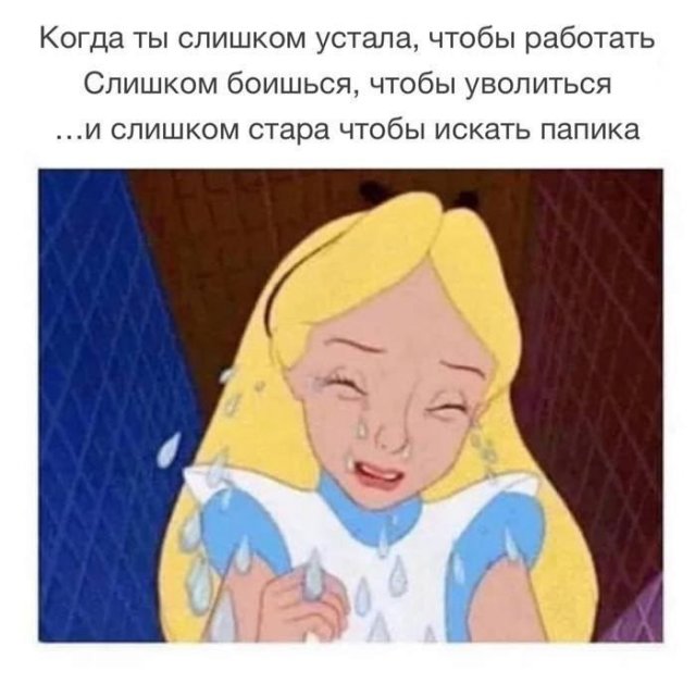 Лучшие шутки и мемы из Сети - 28.07.2025