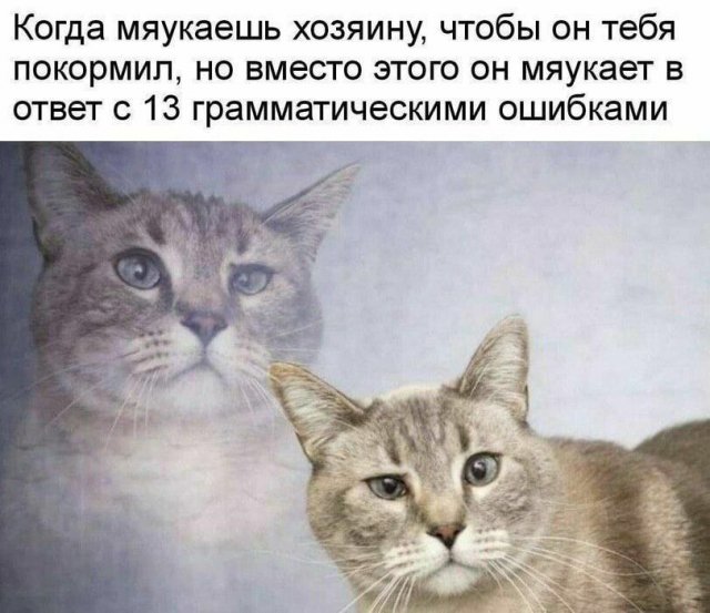 Лучшие шутки и мемы из Сети - 28.07.2025