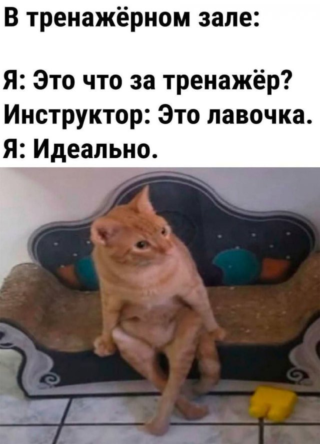 Лучшие шутки и мемы из Сети - 28.07.2025