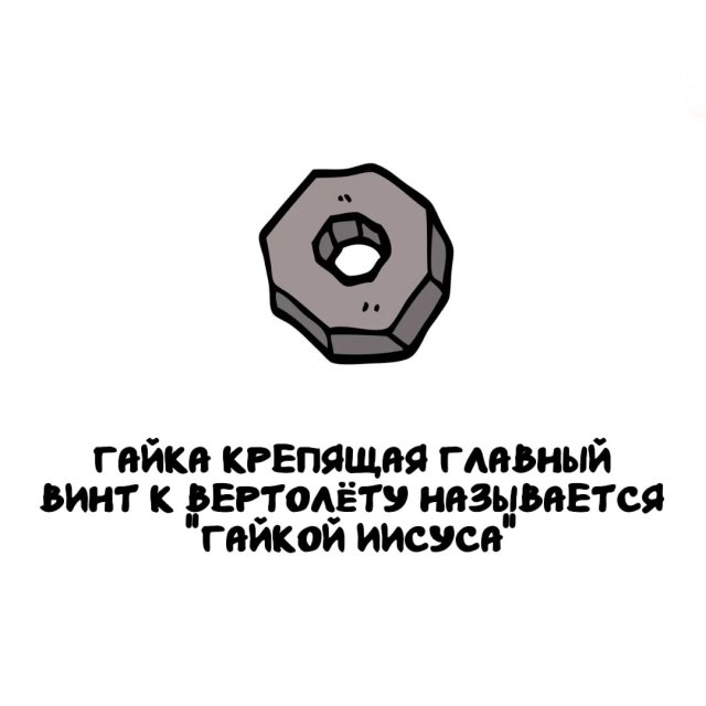 Интересные факты на все случаи жизни
