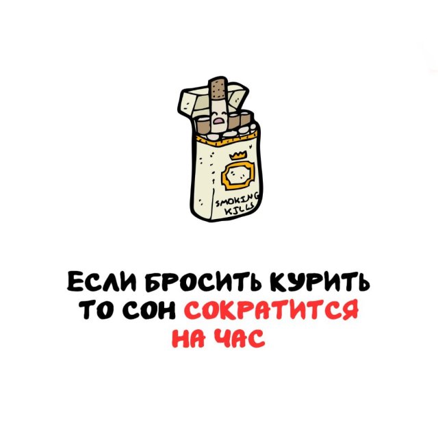Интересные факты на все случаи жизни