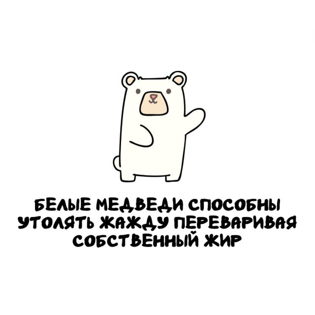Интересные факты на все случаи жизни