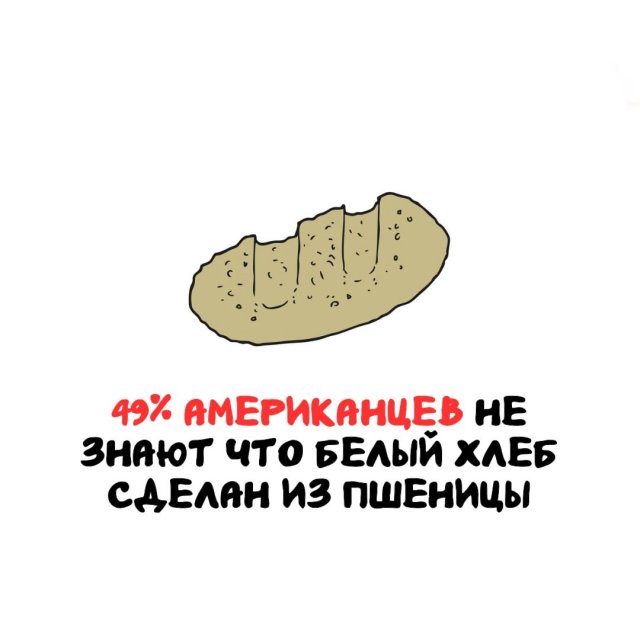 Интересные факты на все случаи жизни
