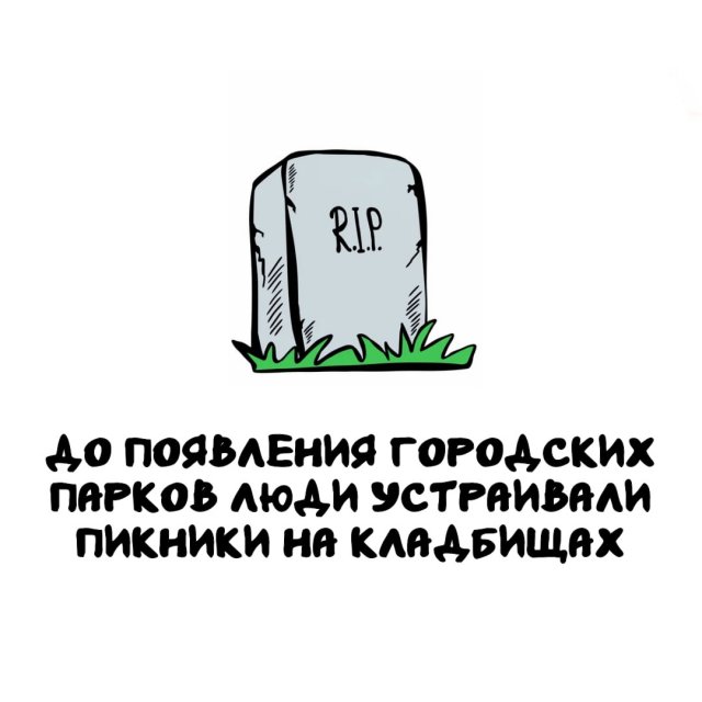Интересные факты на все случаи жизни