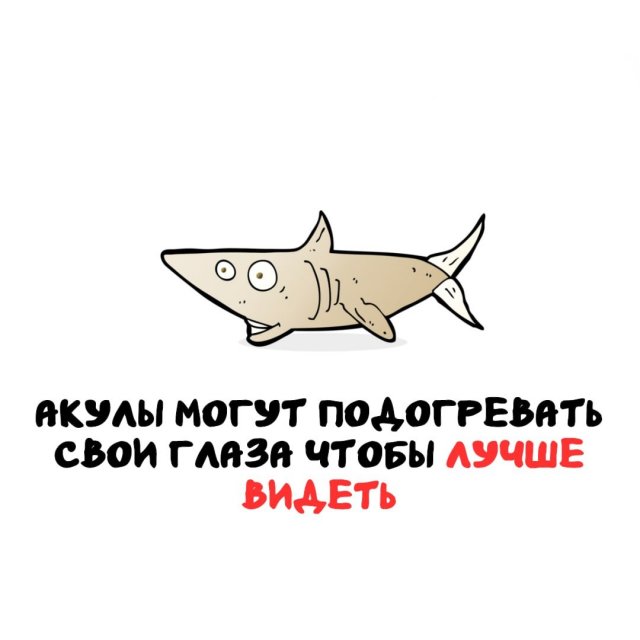 Интересные факты на все случаи жизни