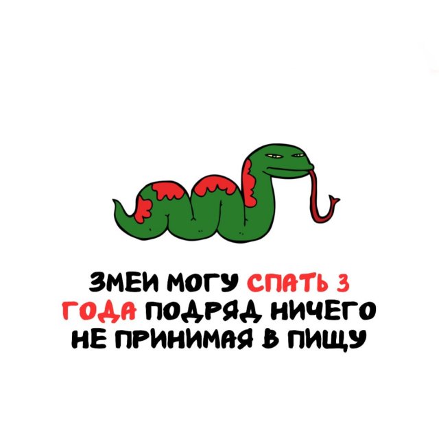 Интересные факты на все случаи жизни