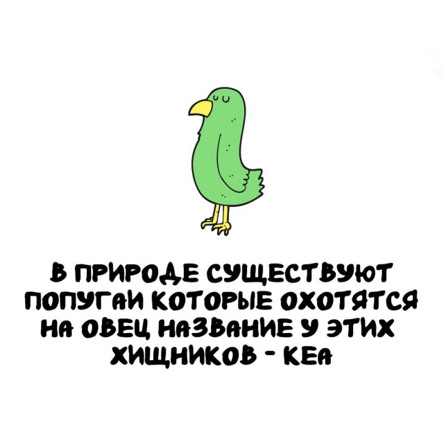 Интересные факты на все случаи жизни