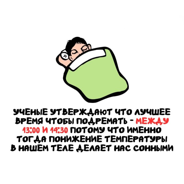 Интересные факты на все случаи жизни