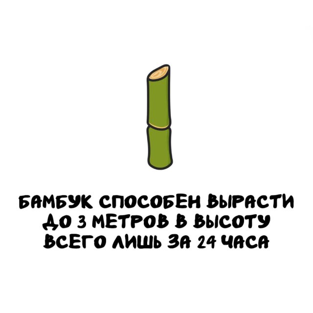 Интересные факты на все случаи жизни