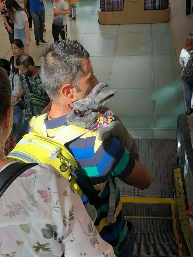 Подборка картинок. Вечерний выпуск - 29.07.2025