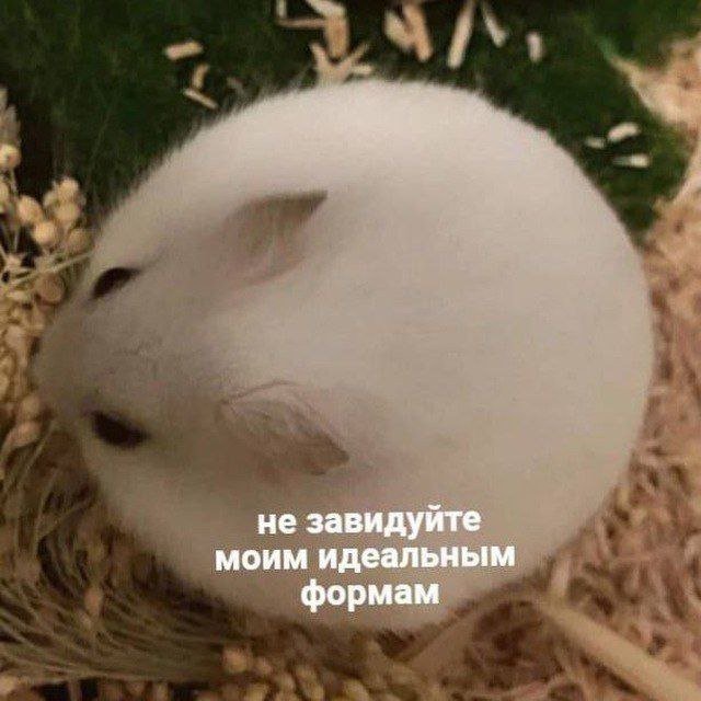 Смешные мемы - 29.07.2025