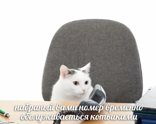 Смешные мемы - 29.07.2025