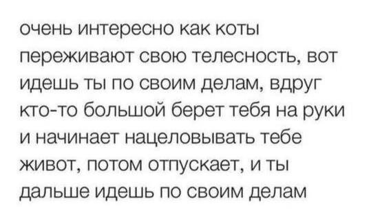 Лучшие шутки и мемы из Сети - 29.07.2025