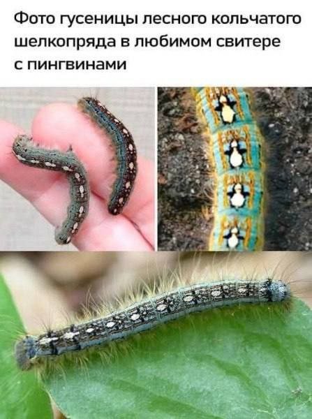 Лучшие шутки и мемы из Сети - 29.07.2025