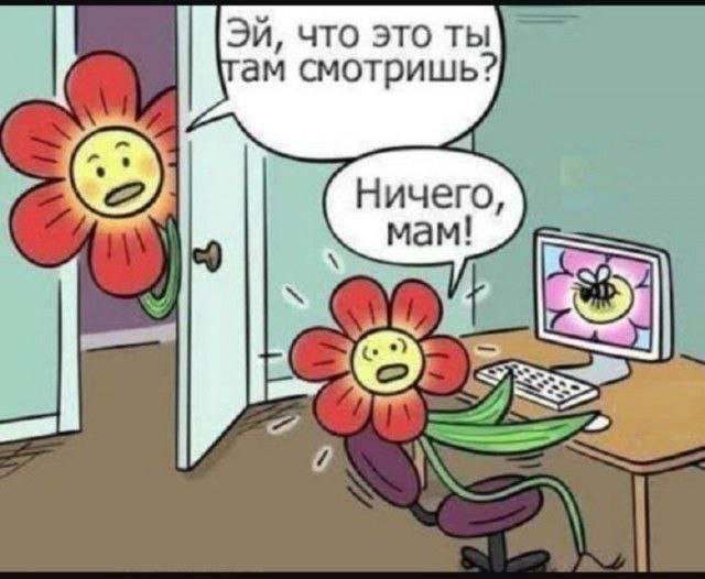 Лучшие шутки и мемы из Сети - 29.07.2025