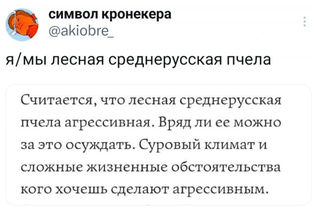 Подборка забавных твитов обо всем