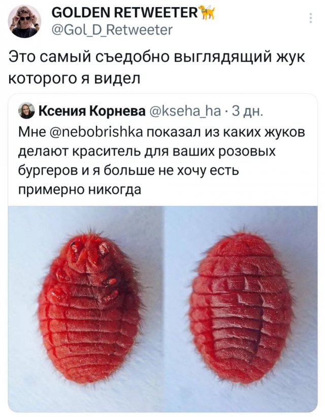Подборка забавных твитов обо всем