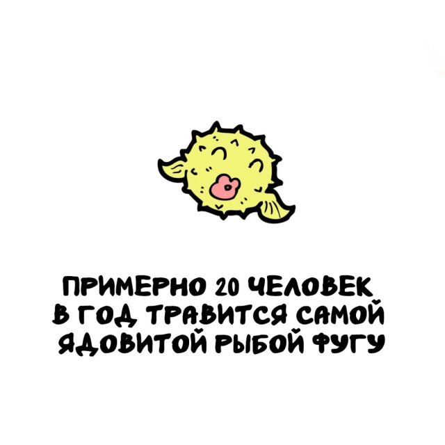 Интересные факты на все случаи жизни