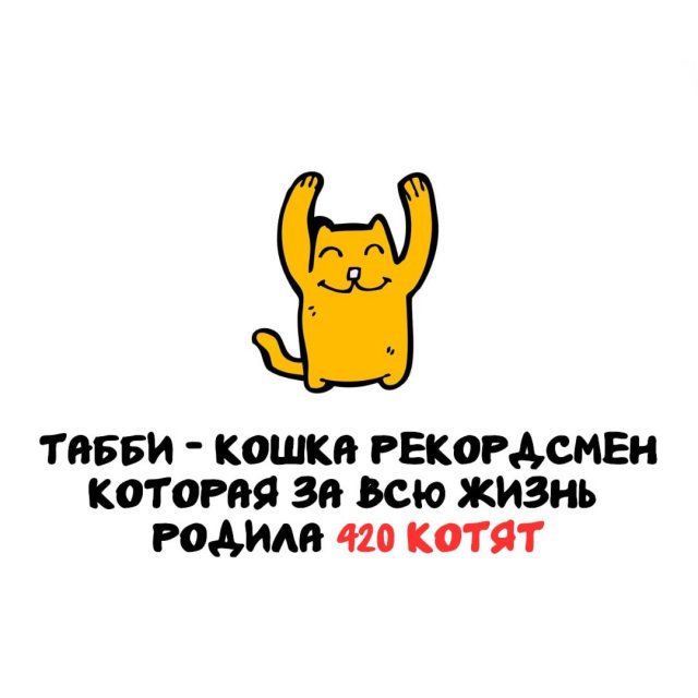Интересные факты на все случаи жизни