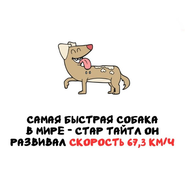 Интересные факты на все случаи жизни