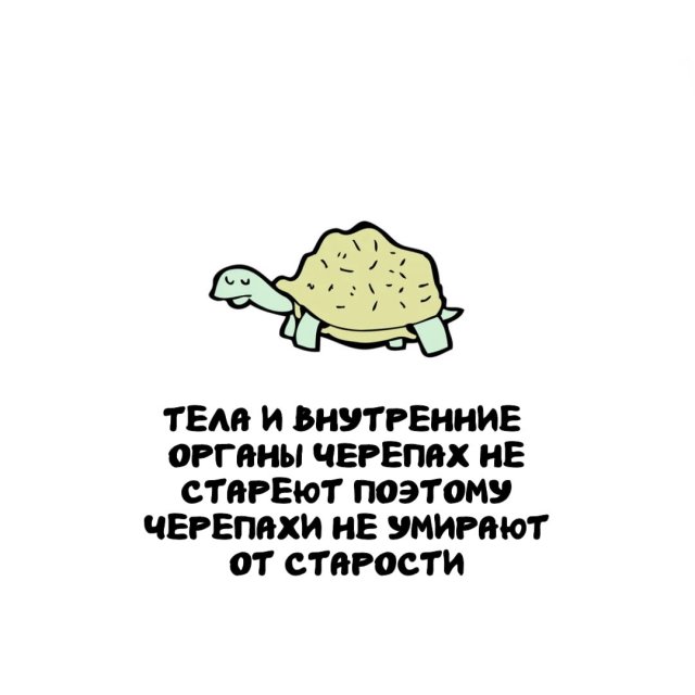 Интересные факты на все случаи жизни