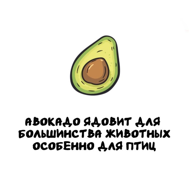 Интересные факты на все случаи жизни