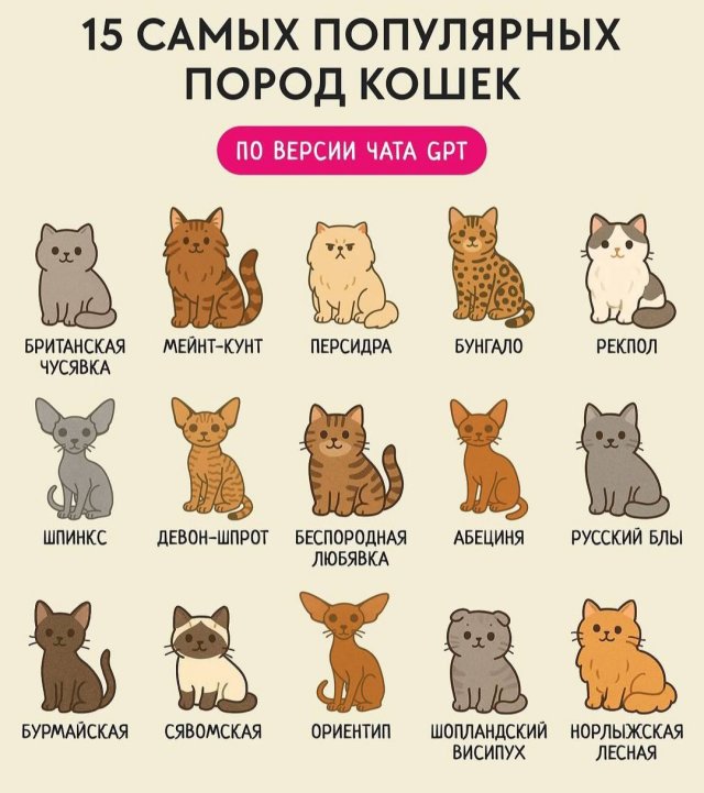 Чат GPT попросили выбрать 15 самых популярных пород кошек: результат удивил