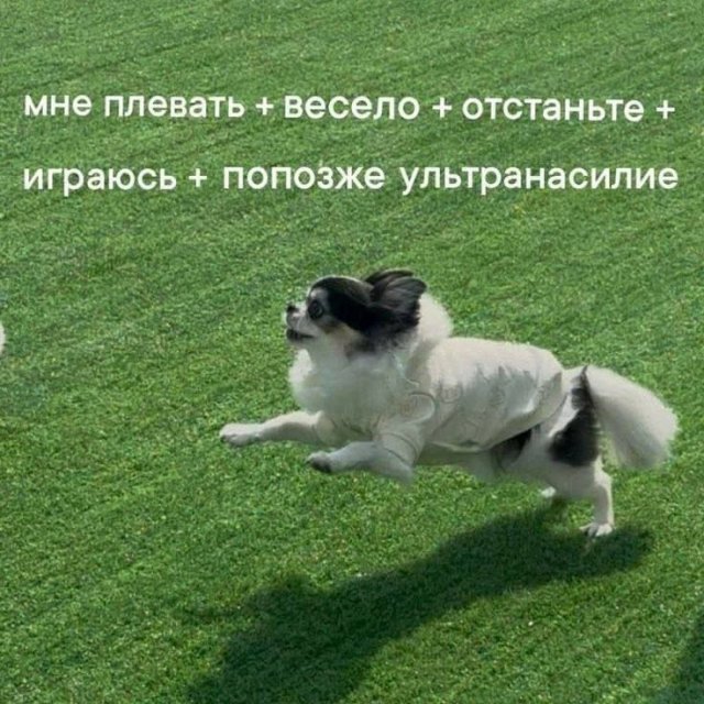 Смешные мемы - 31.07.2025