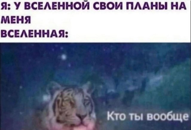 Смешные мемы - 31.07.2025