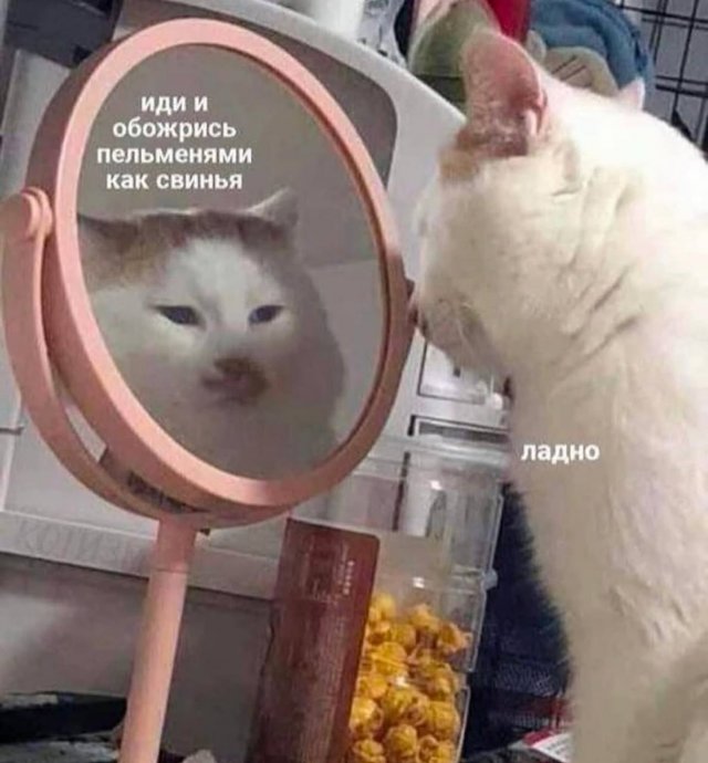 Смешные мемы - 31.07.2025