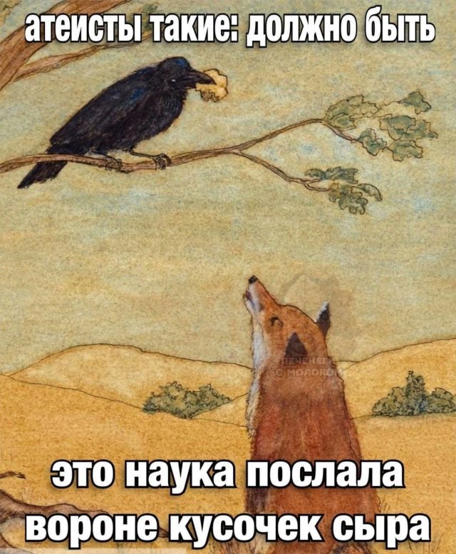 Смешные мемы - 31.07.2025