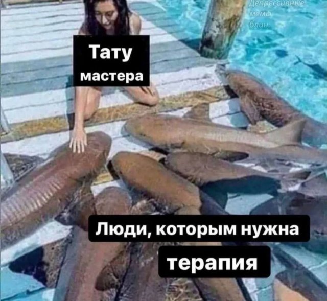 Лучшие шутки и мемы из Сети - 31.07.2025