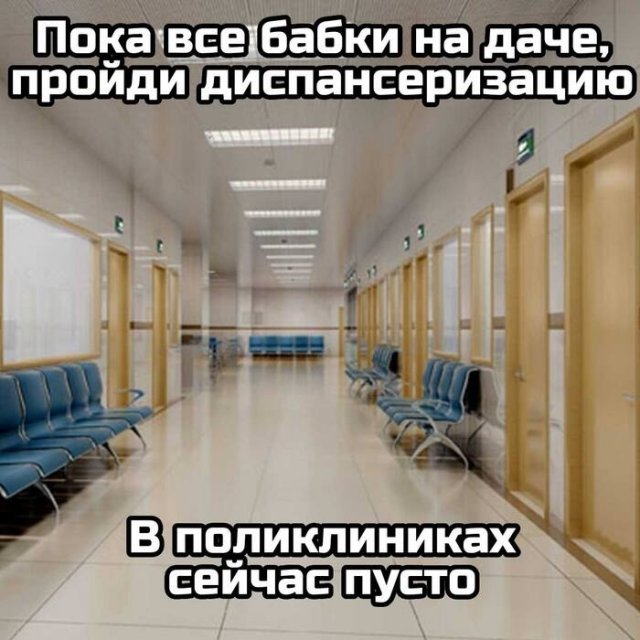 Подборка картинок. Вечерний выпуск - 31.07.2025