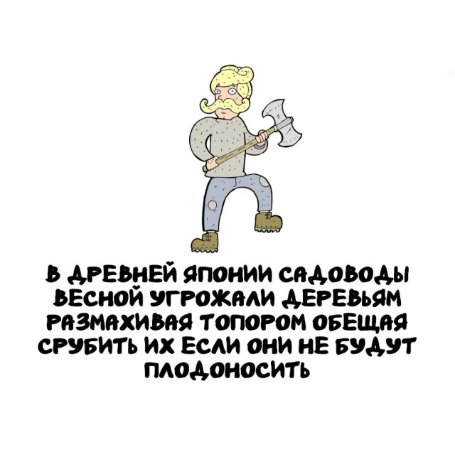 Интересные факты на все случаи жизни