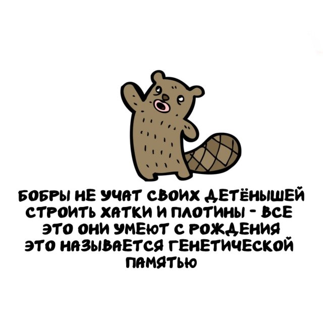 Интересные факты на все случаи жизни