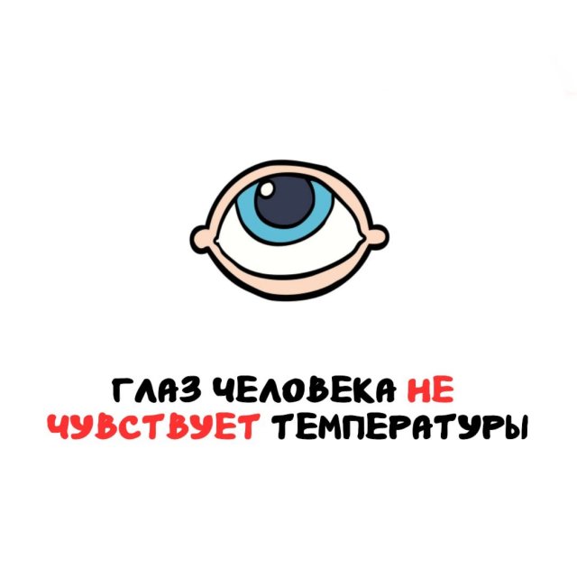 Интересные факты на все случаи жизни