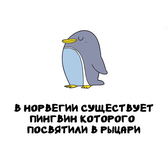 Интересные факты на все случаи жизни