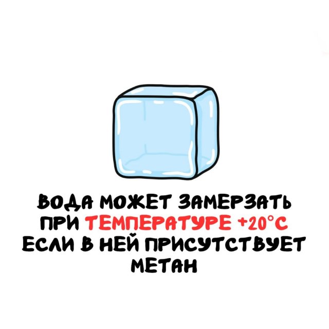 Интересные факты на все случаи жизни
